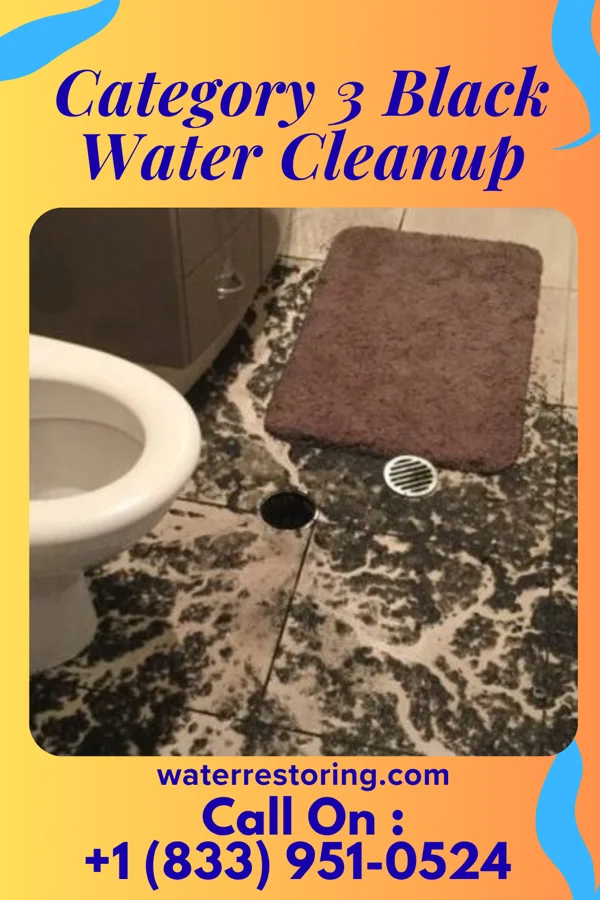 Category 3 Black Water Cleanup in Stuckey, SC