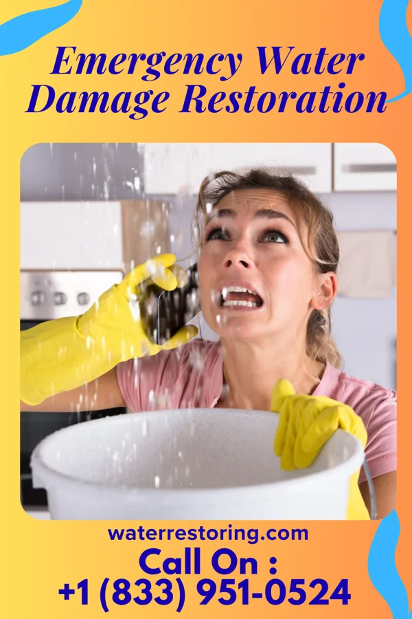 Emergency Water Damage Restoration in Stuckey, SC
